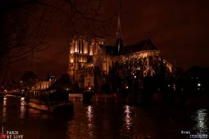 Crue de la  Seine au pied de Notre-DameFlood of Seine river at Notre-Dame